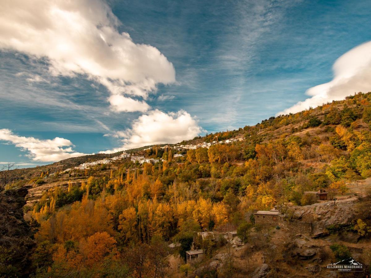 Alojamientos Rurales Los Macabes Alpujarra de la Sierra Exterior foto